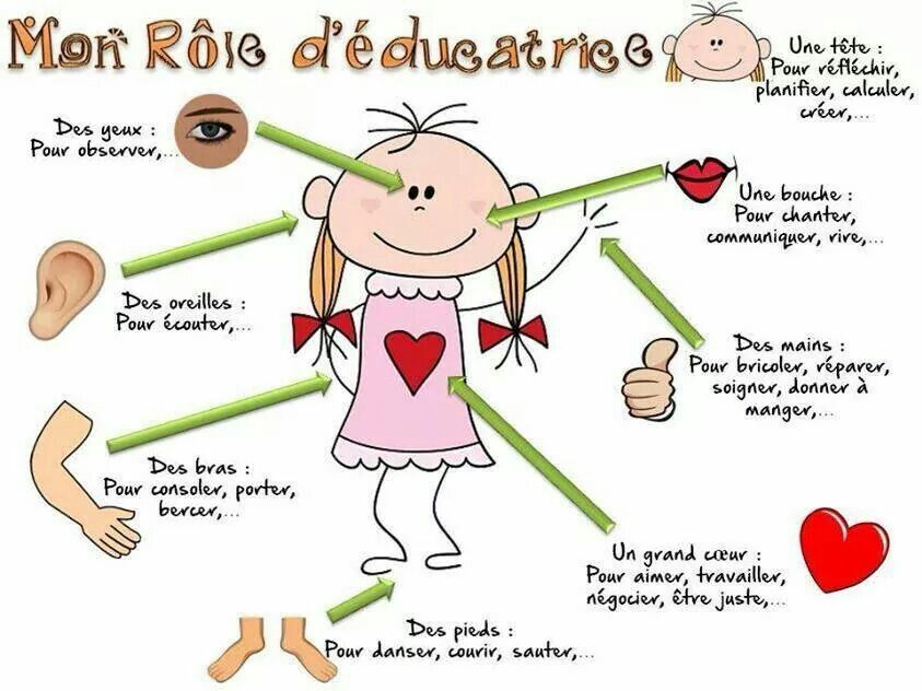 Rôle de l'éducattrice - éducateur